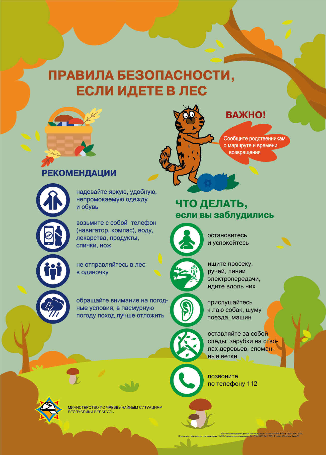 Рис.13