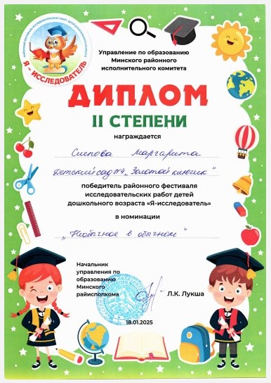 Скан-копия